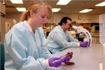 two people working in a laboratory