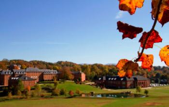 autumn leaves with campus buildings in background