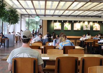 students studying in a library with large windows