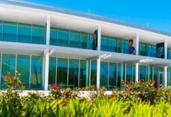 modern building behind lush greenery