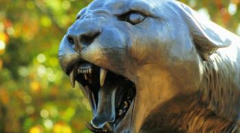 close-up of cougar statue