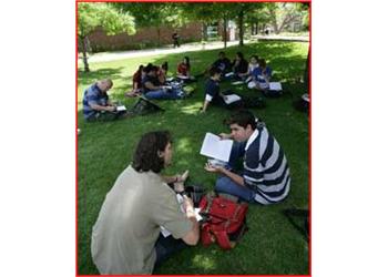 group of students studying outdoors on grass