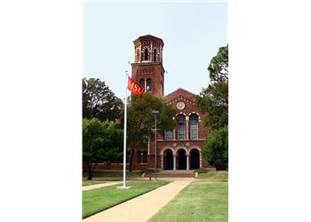 msu flag in front of the building