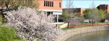 building with flowering trees by the water