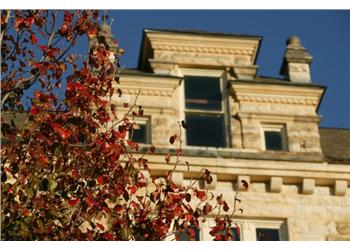 vintage building with vibrant autumn leaves