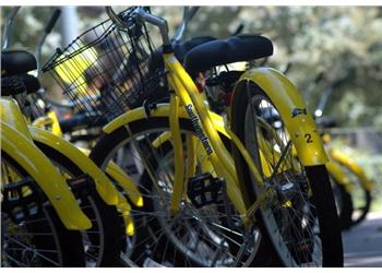 close-up of yellow campus bike-sharing bicycles