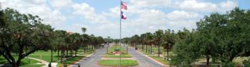 long pathway lined with trees and flags