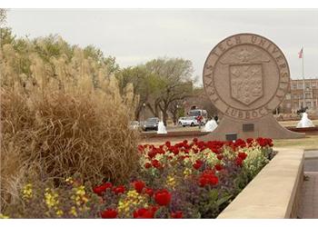 university seal behind flowerbed with cars