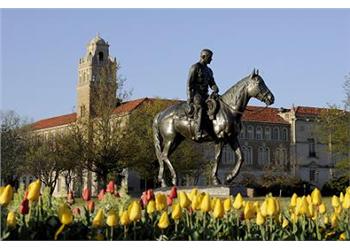 equestrian statue near a building with yellow tulips