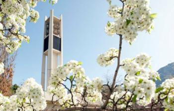 bell tower behind blooming flowers