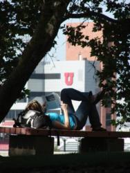 student reading under tree near 'u' building