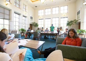 students studying in a lounge with natural sunlight