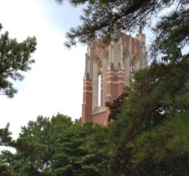 tree framed view of gothic tower