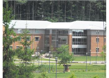 modern building seen through pine trees