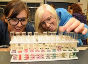 students engaging in a lab experiment