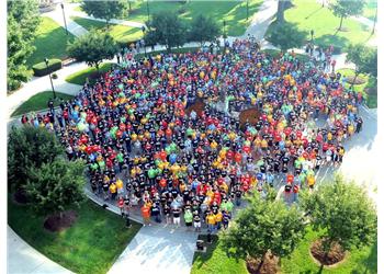 aerial view of colorful crowd gathering