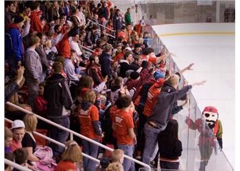 crowd cheering at a hockey game