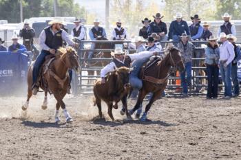 rodeo scene with horse and rider in action