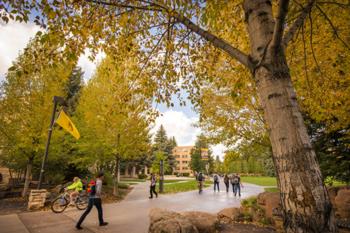 students walking through campus with autumn trees