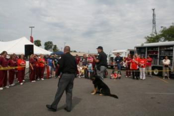 outdoor event with dog and crowd watching