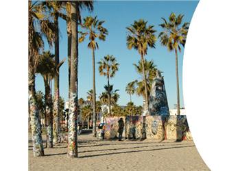 palm trees and graffiti on Venice Beach