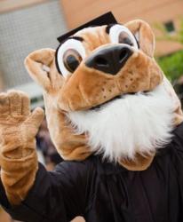 mascot in graduation attire