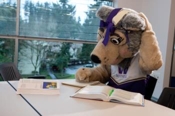 mascot studying at a desk with open book