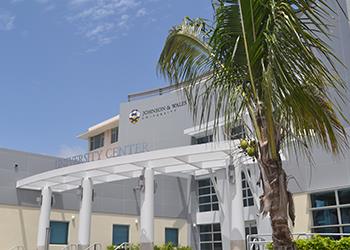 university building with palm tree