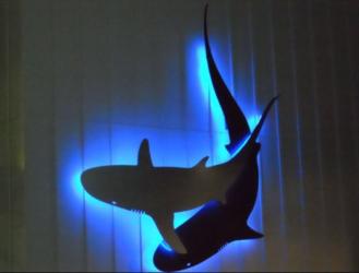 silhouette of a shark with blue backlighting