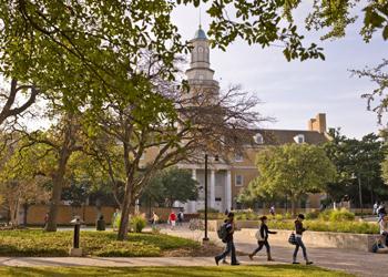 students walking on a tree-lined university campus path