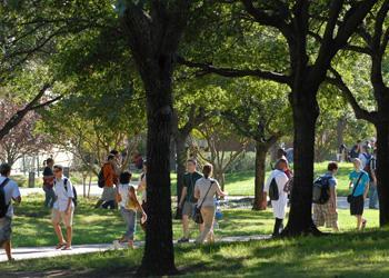 group of students enjoying a sunny day on a wooded path