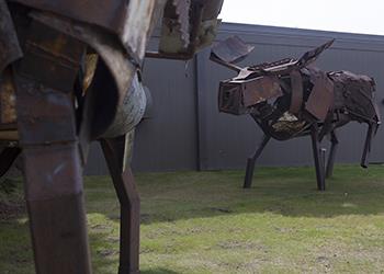 metal moose sculpture on grass field