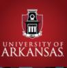 University of Arkansas's logo