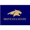 Montana State University's logo